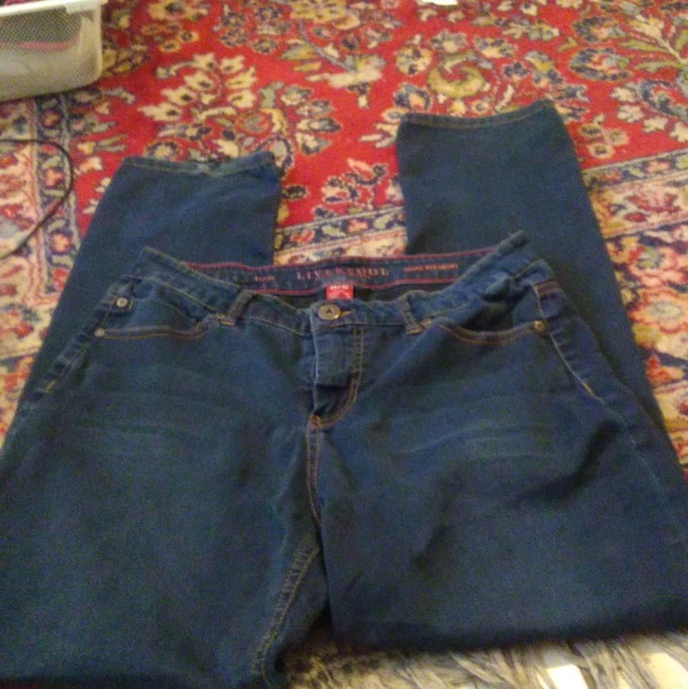 Women's Liverpool Jeans Co. Sadie Straight Blue Jeans 14/32